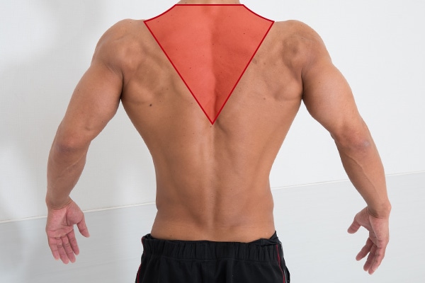 背中の筋肉を鍛える 3つのメリットと具体的なトレーニング方法