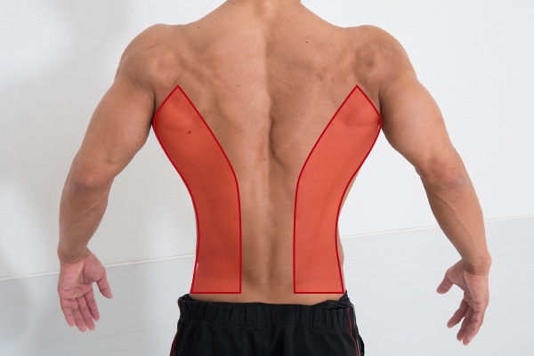 背中の筋肉を鍛える！ 3つのメリットと具体的なトレーニング方法