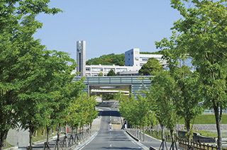 International Pacific University Campus